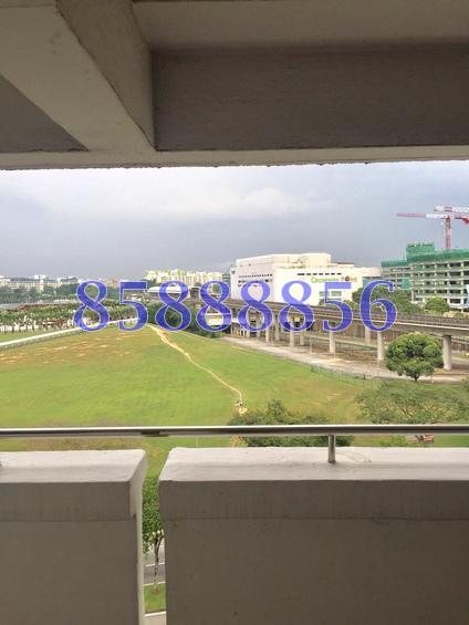 Woodlands Street 13 thumbnail photo